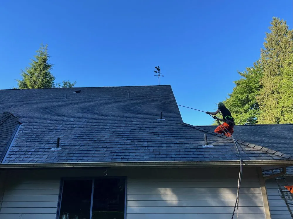 Slide of House Huggerz