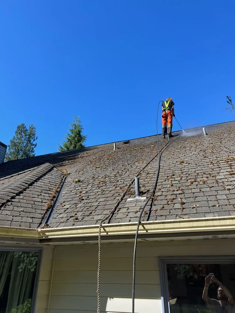 Slide of House Huggerz