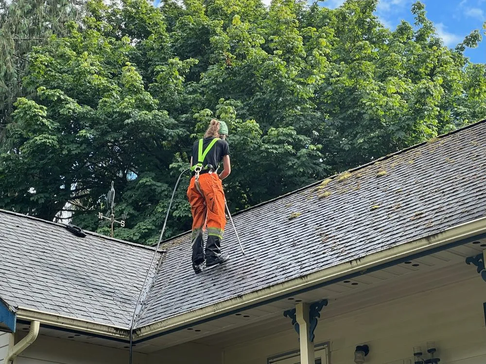 Slide of House Huggerz