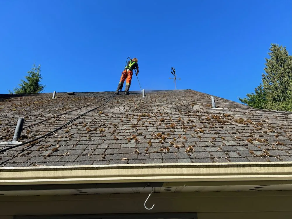 Slide of House Huggerz