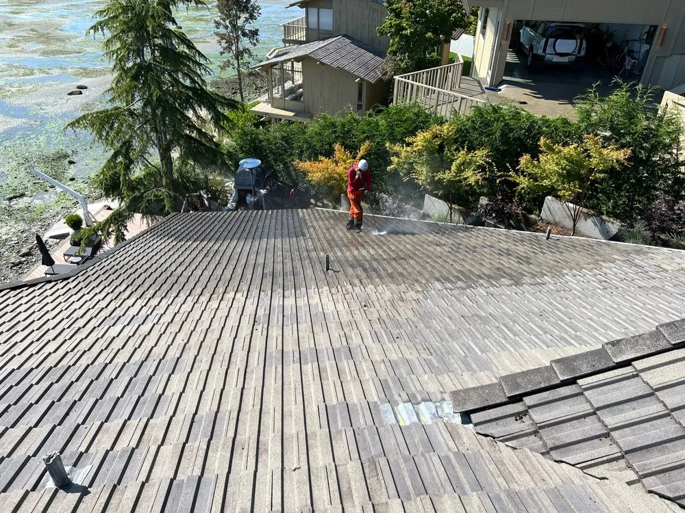 Slide of House Huggerz