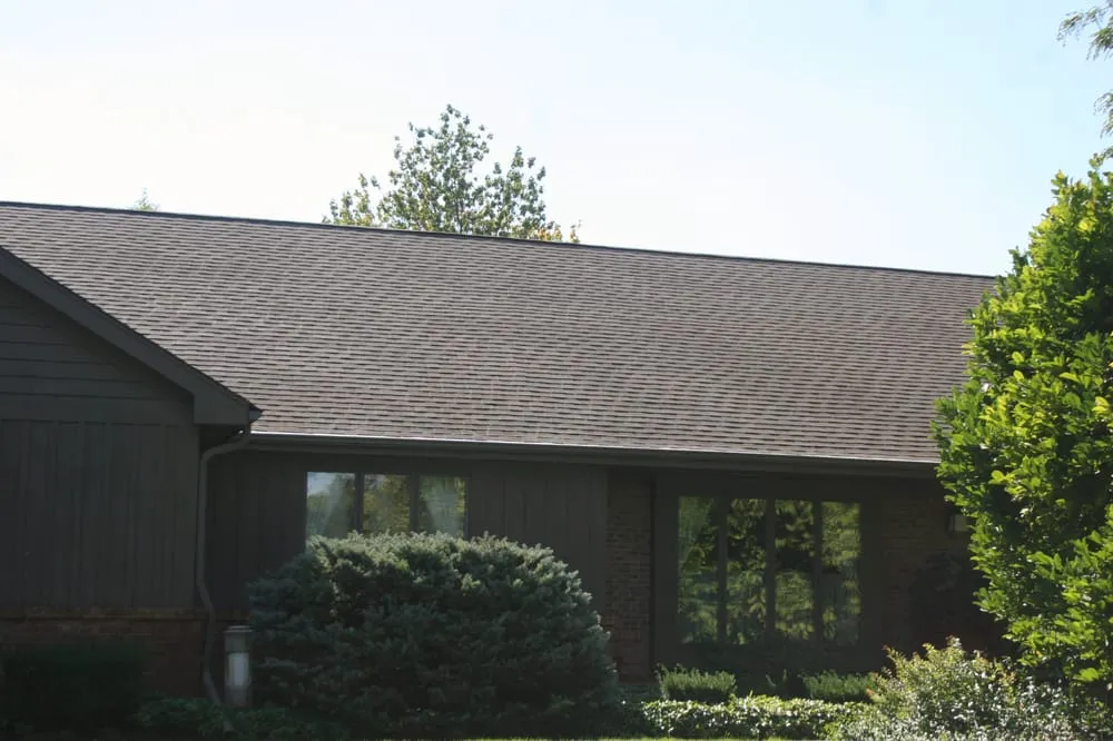 Slide of House Shampoo