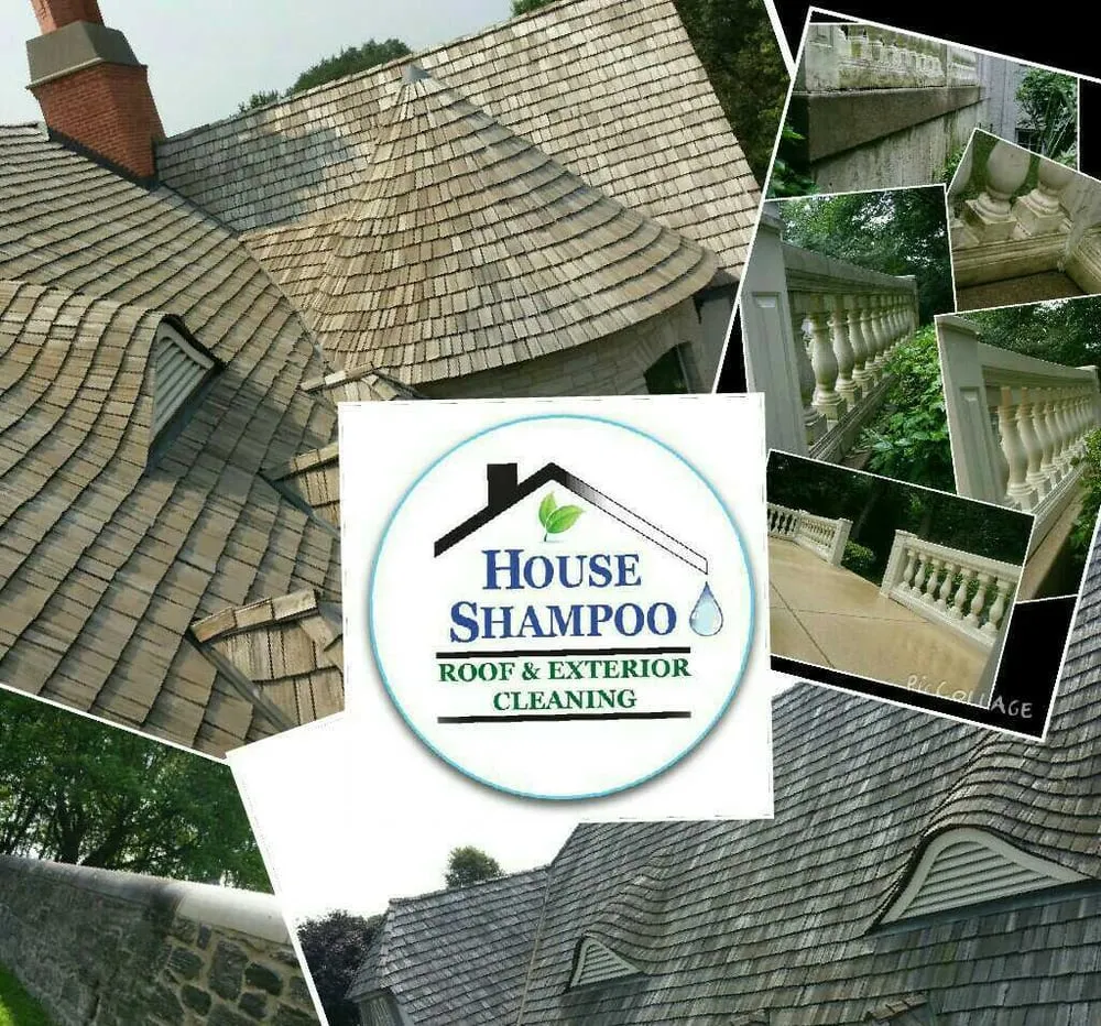 Slide of House Shampoo