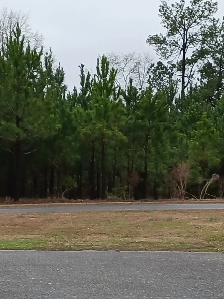 Slide of Hughes Home Repairs And Landscaping