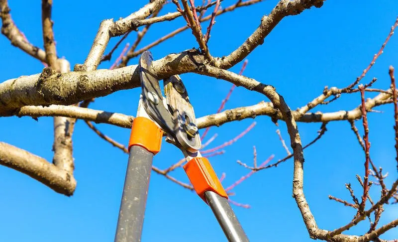 Slide of Hughes Home Repairs And Landscaping