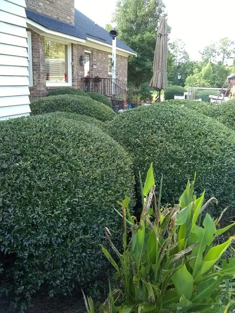 Slide of Hughes Home Repairs And Landscaping