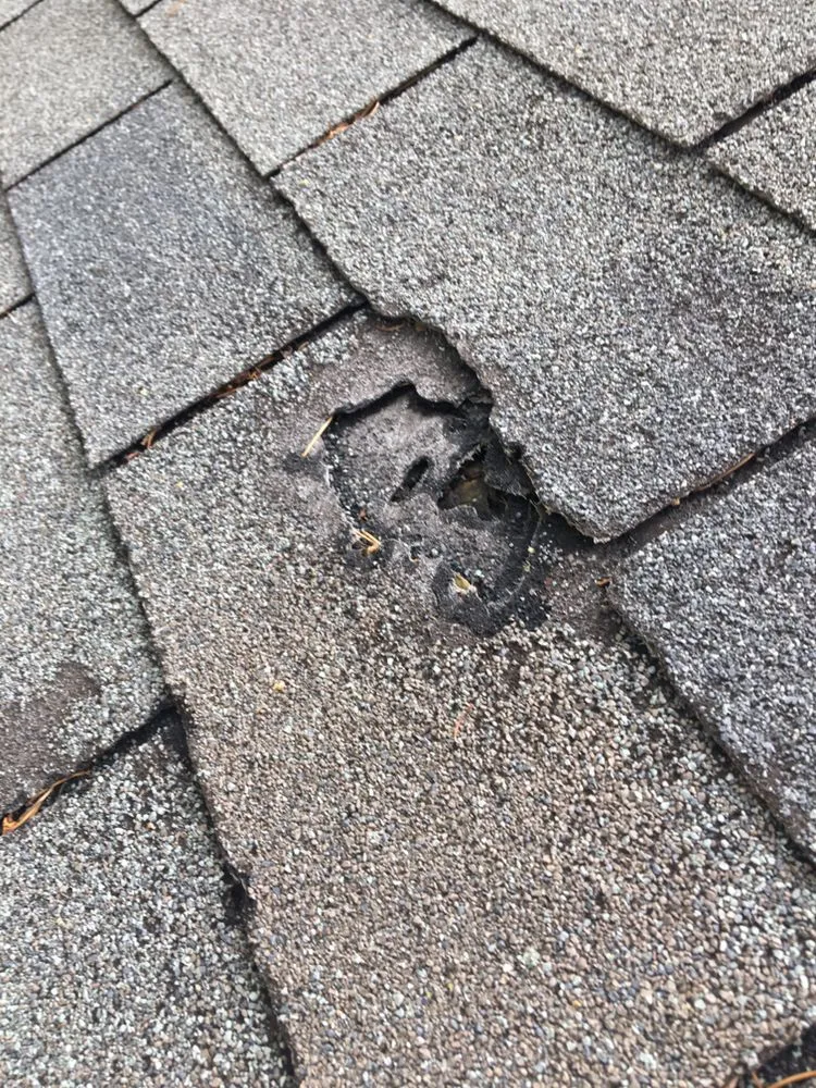 Slide of Hugo's Sheet Metal