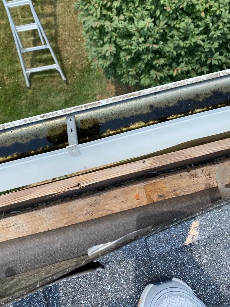 Slide of Humberto Maradiaga