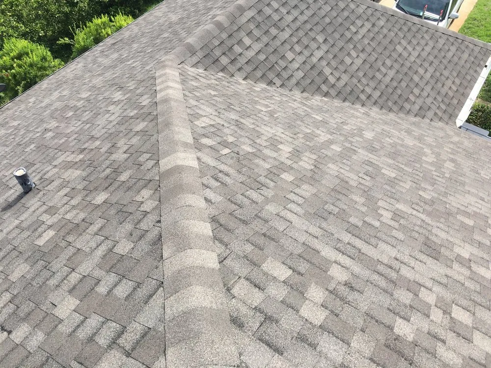 Slide of Hungry Roofers