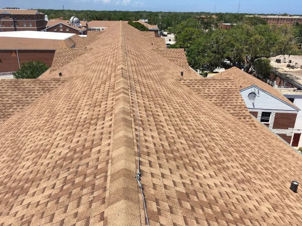 Slide of Hungry Roofers