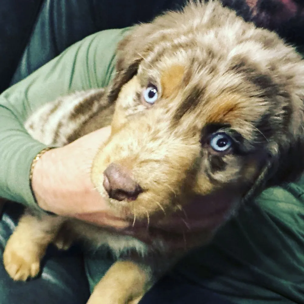 Slide of Hunt Riggs Roofing