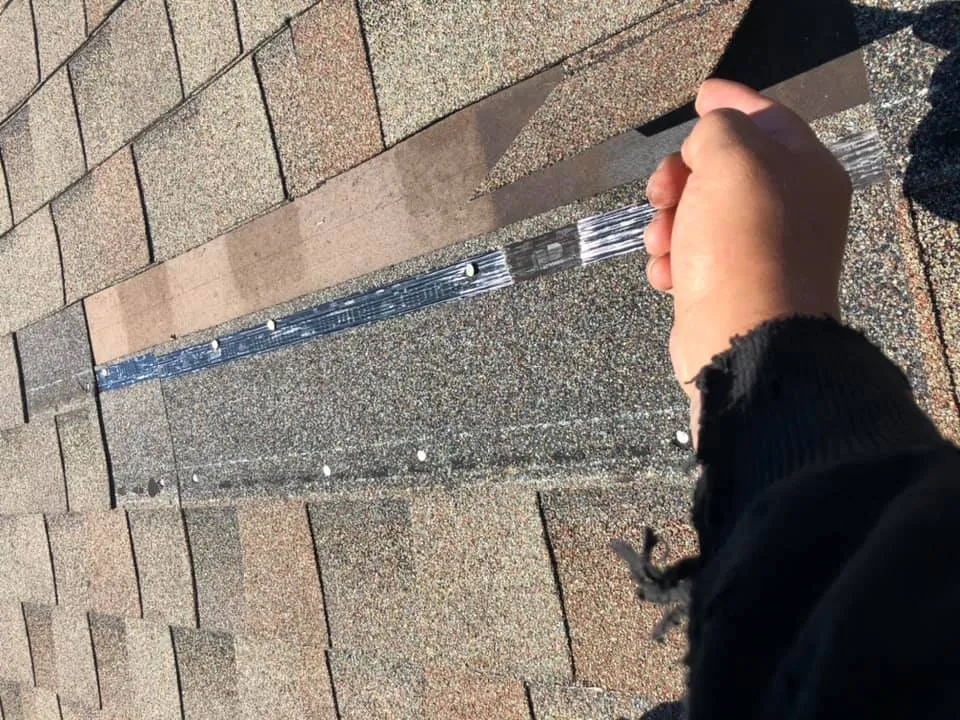 Slide of Hurst and Sons