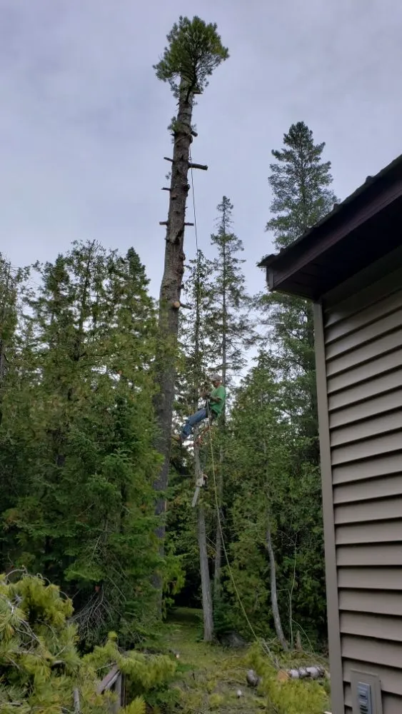 Expert roof installation experts serving Sault Ste Marie, MI - Huskey Brothers Professional Tree Removal