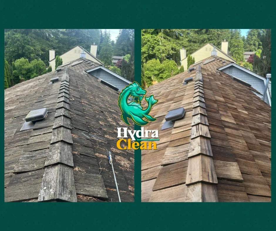 Slide of Hydra Clean