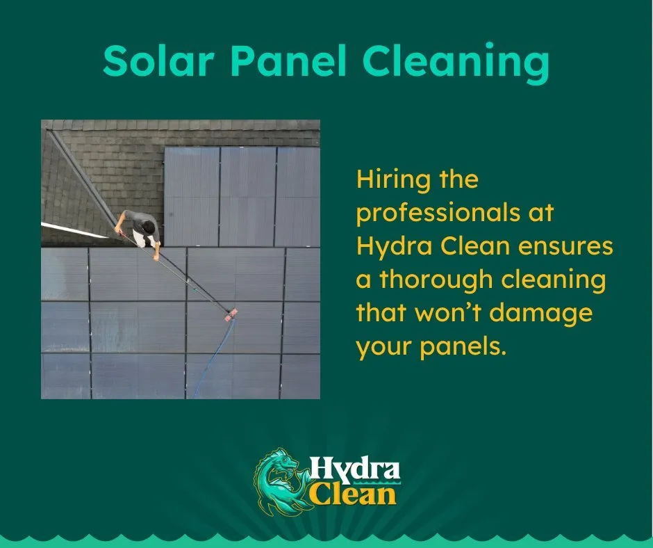 Slide of Hydra Clean