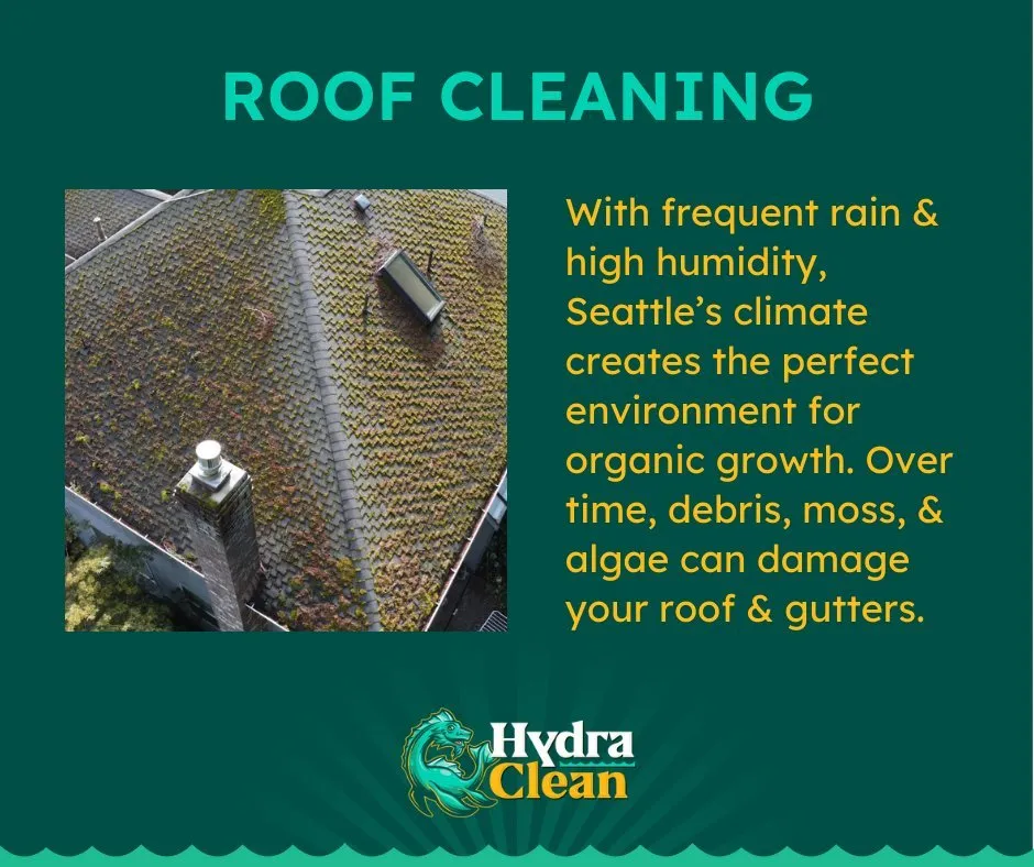 Slide of Hydra Clean