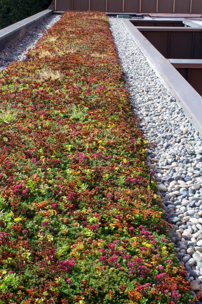 Slide of Hytech Roofing