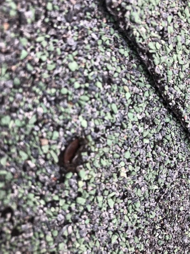 Slide of I Fix Roof Leaks Plus