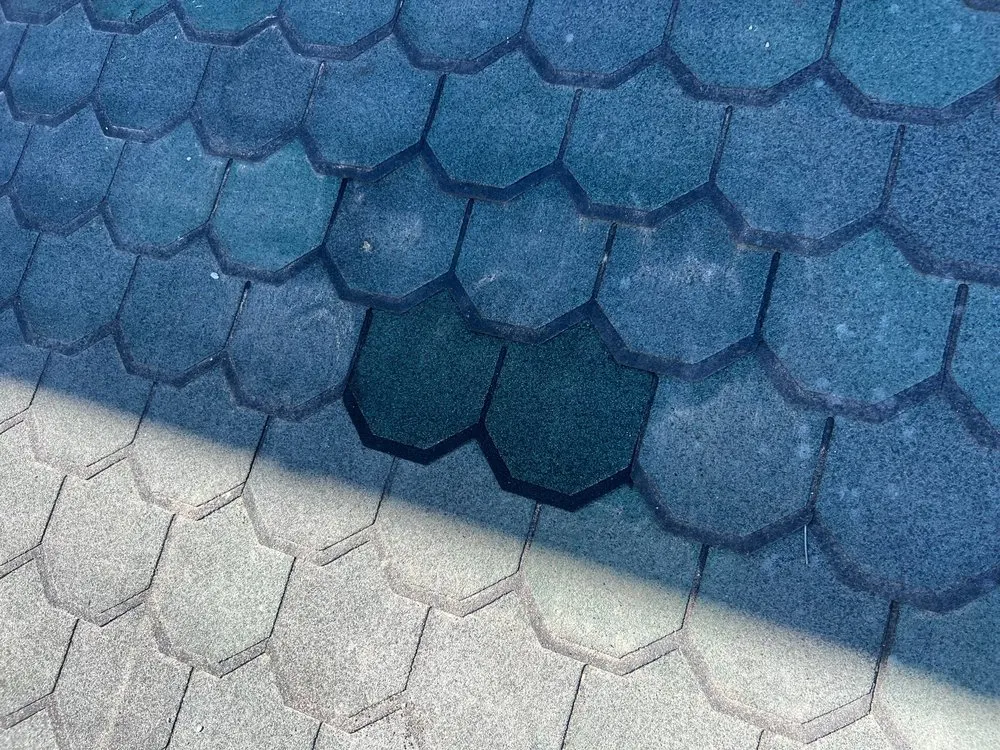 Slide of I Gotta Guy Roof Repairs