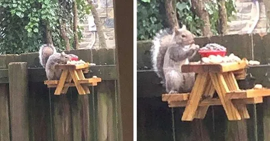 Slide of I Know A Guy 614