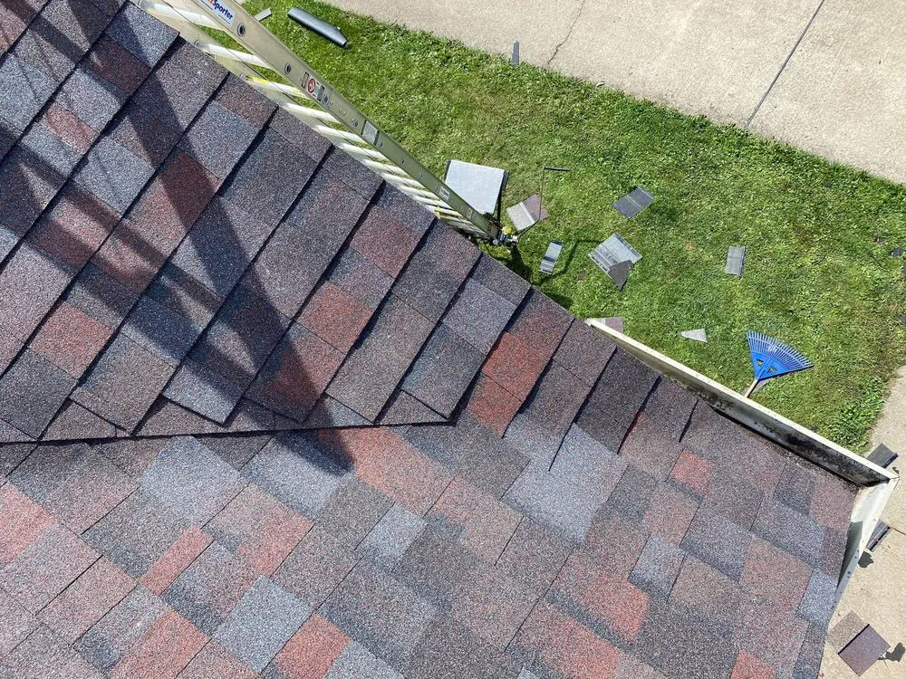 Slide of IAN Remodeling