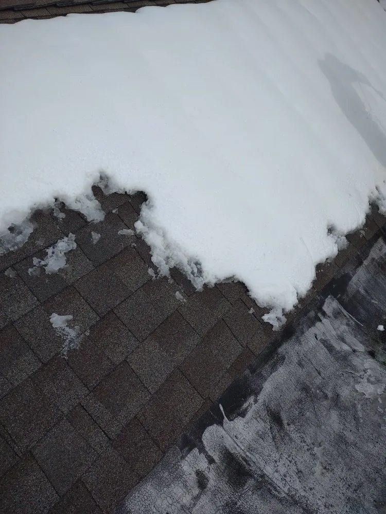 Slide of Ice Dam Rescue