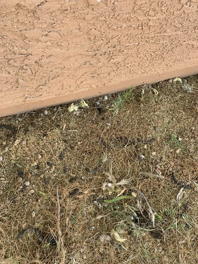 Slide of Icon Roofing