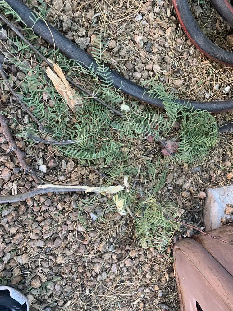 Slide of Icon Roofing