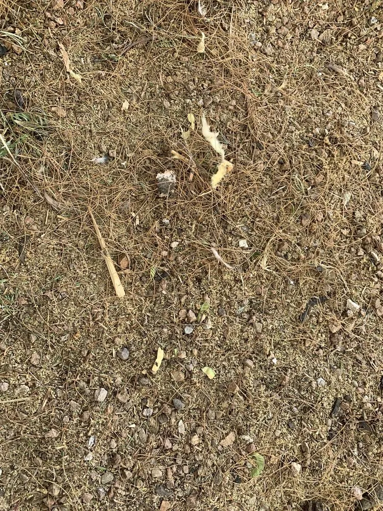 Slide of Icon Roofing