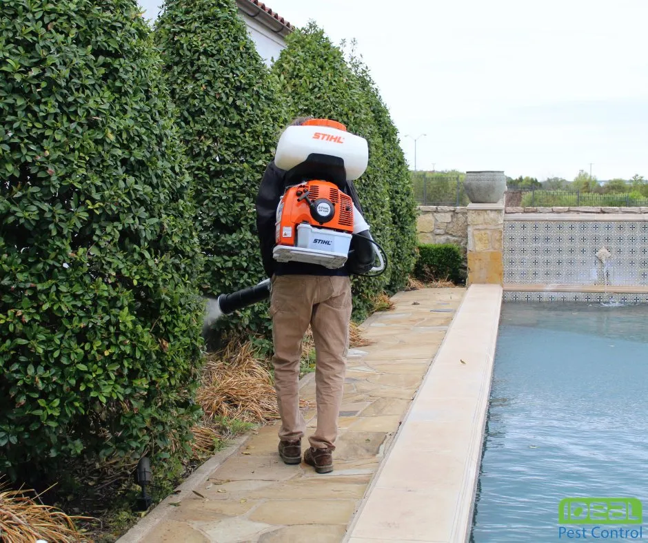 Slide of Ideal Partners