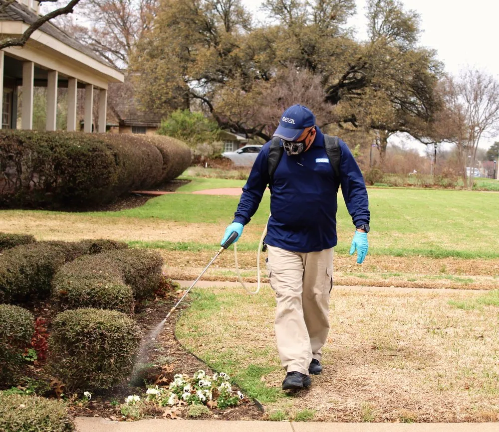 Slide of Ideal Partners