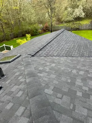 iDeal Roofing