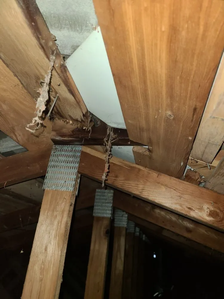 Slide of IG Roofing Systems