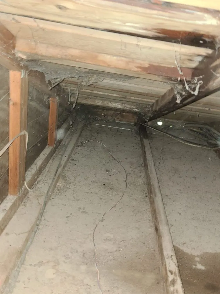 Slide of IG Roofing Systems