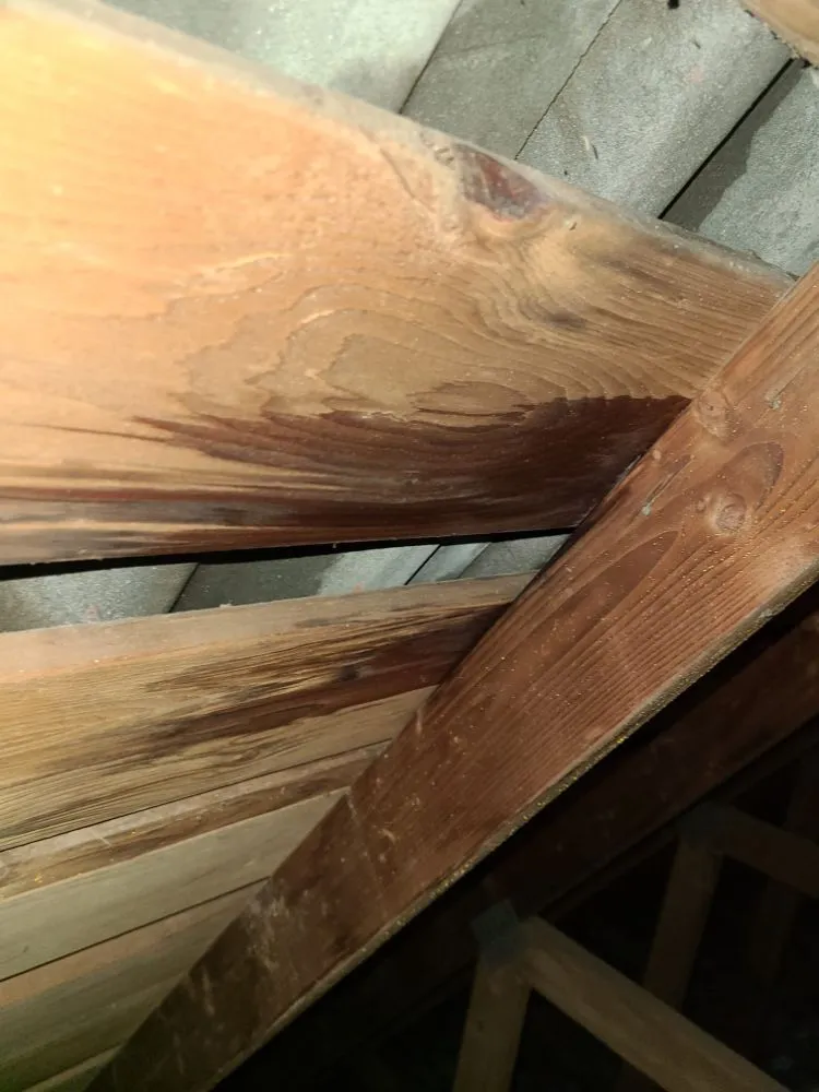 Slide of IG Roofing Systems