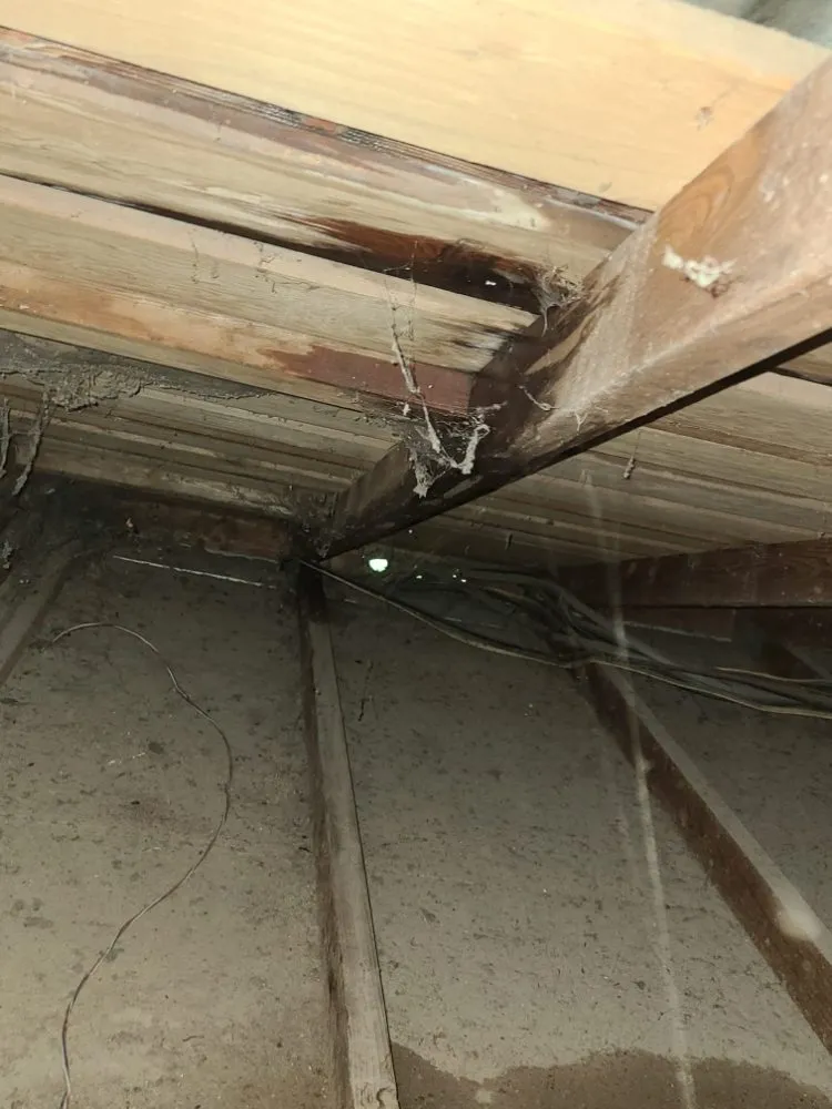 Slide of IG Roofing Systems