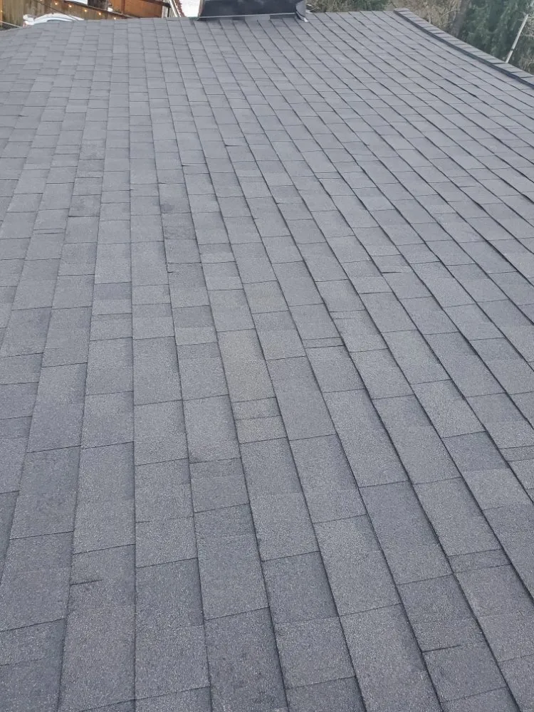 Slide of IG Roofing Systems