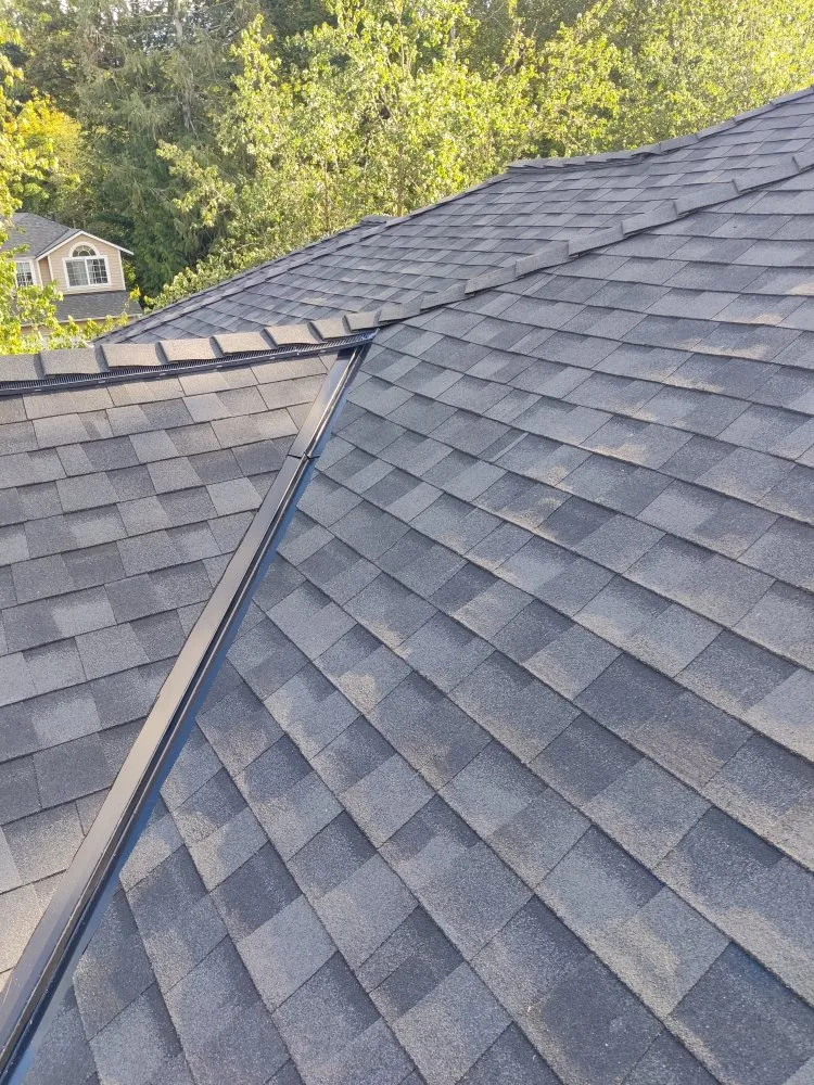Slide of IG Roofing Systems
