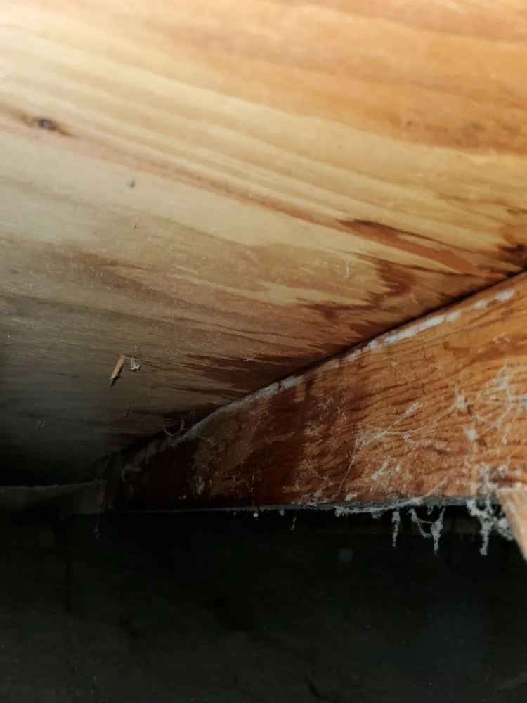 Slide of IG Roofing Systems