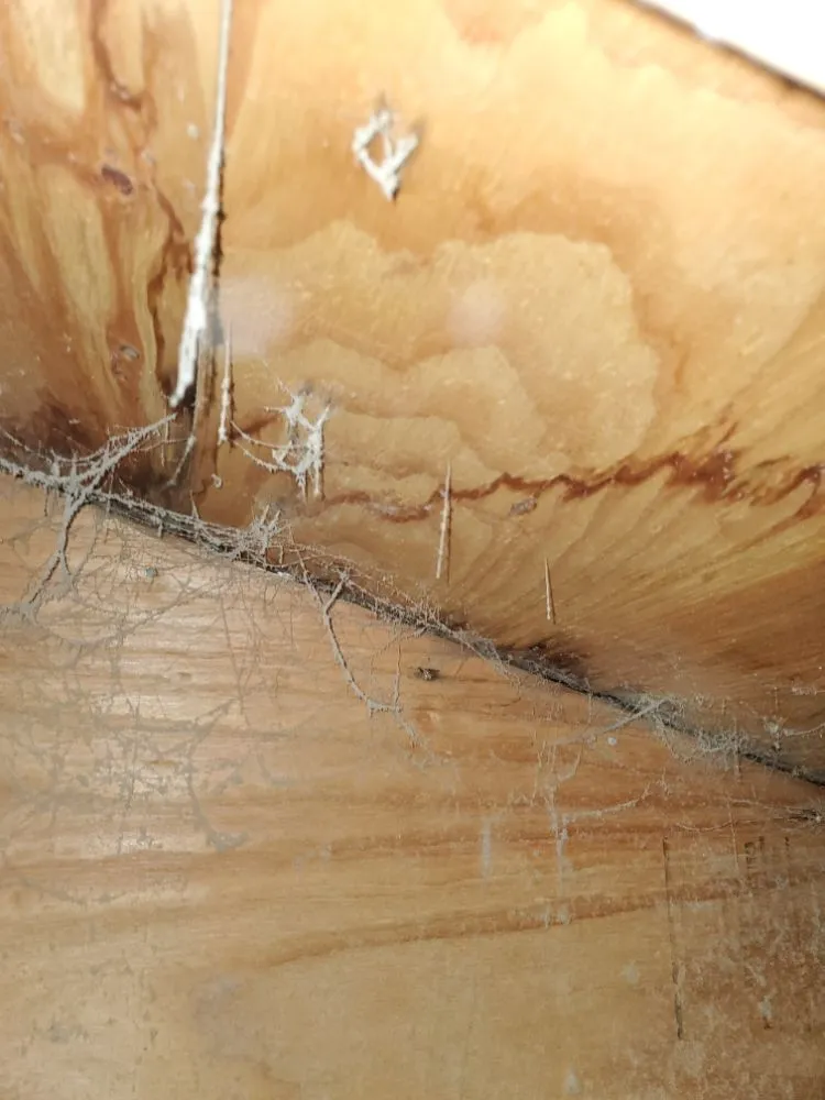 Slide of IG Roofing Systems