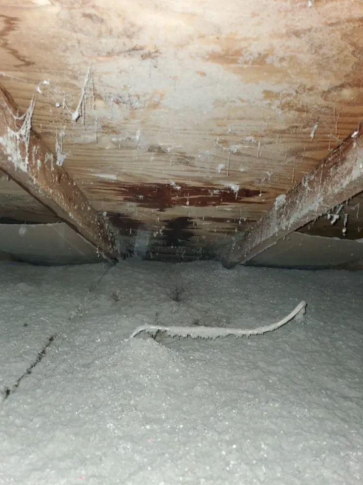 Slide of IG Roofing Systems