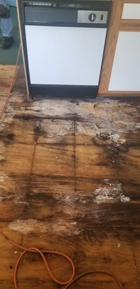 Slide of III Phase Contracting