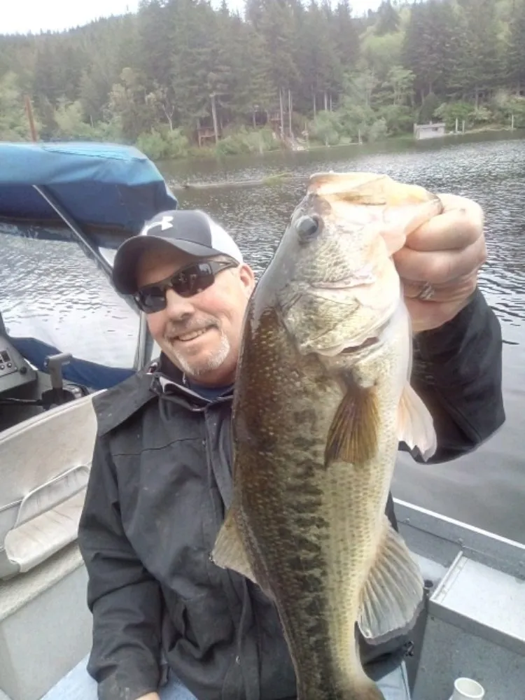 Slide of III Phase Contracting