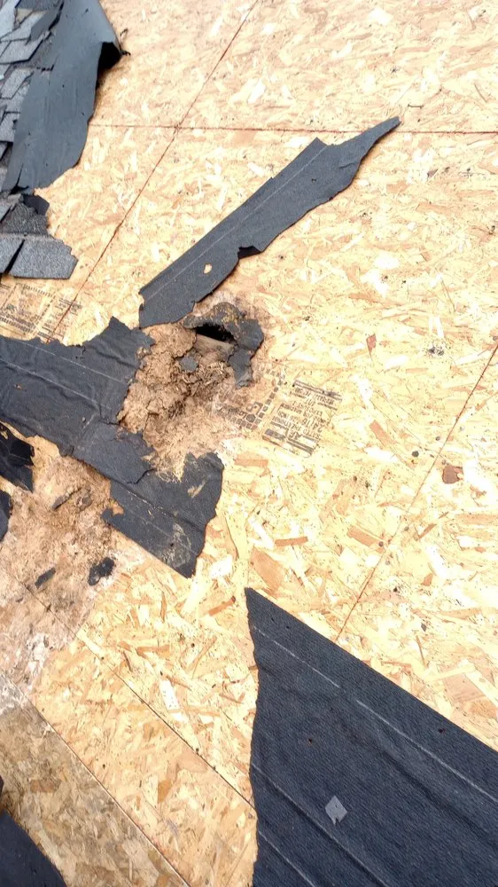 Slide of Illinois Cleaning Solutions