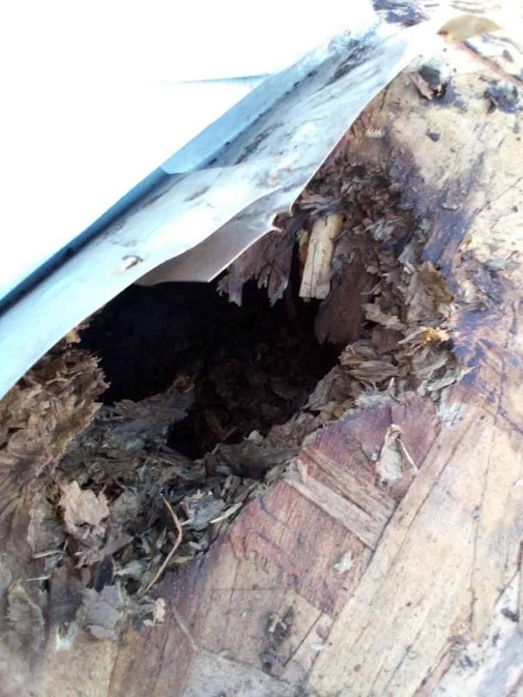 Slide of Illinois Cleaning Solutions