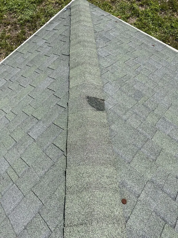 Slide of Image roofing