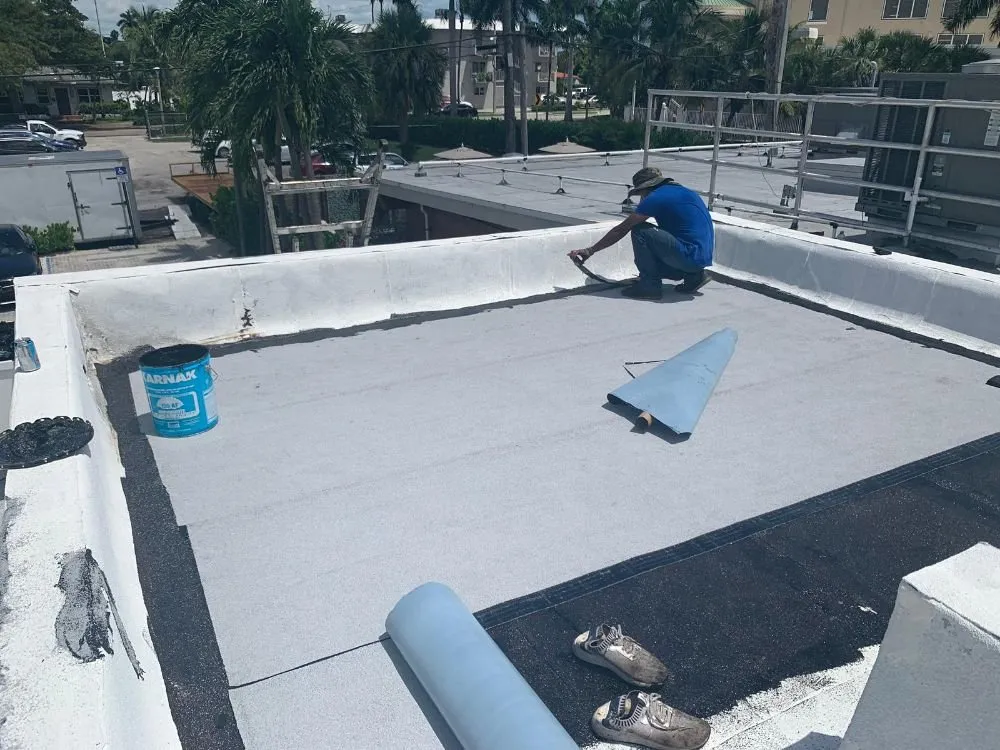 Slide of Images & Concepts Development