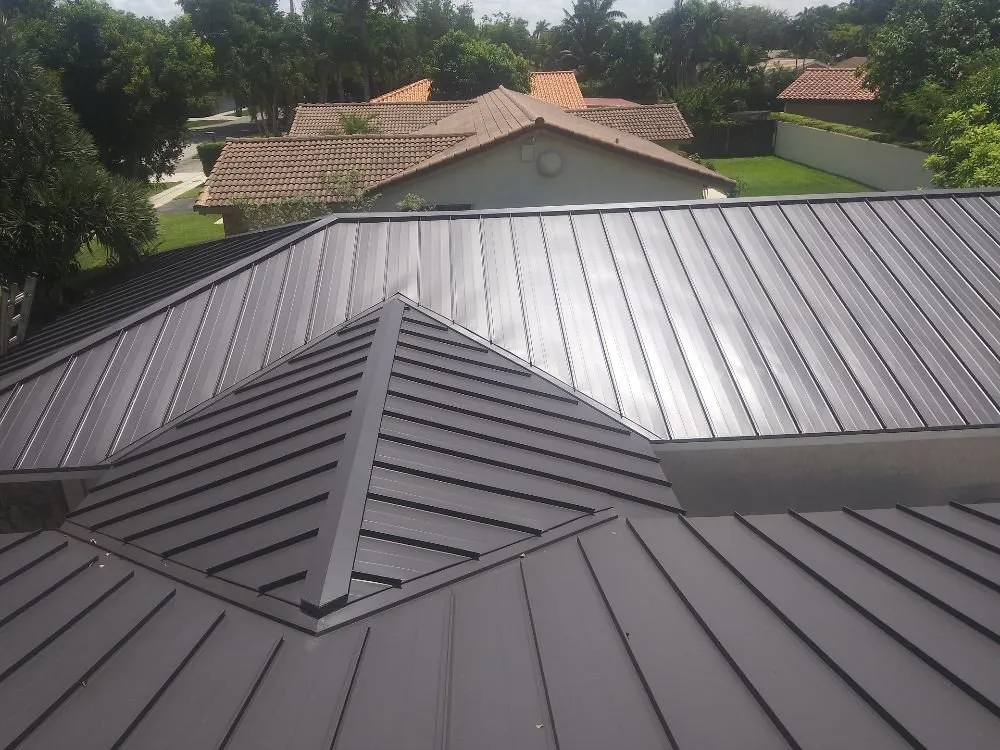 Slide of Images & Concepts Development