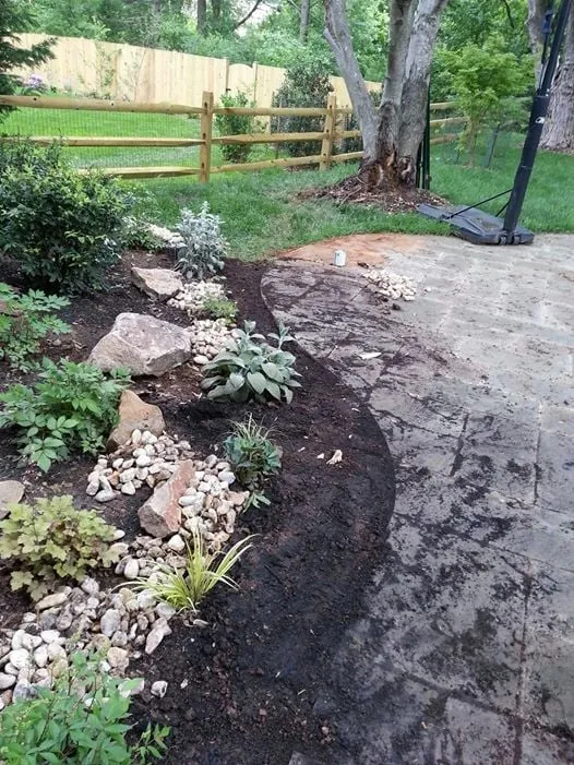 Slide of IMAI Services