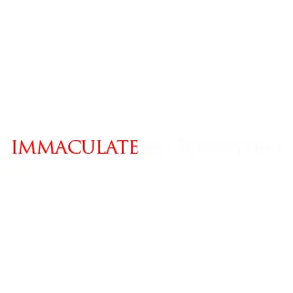 Slide of Immaculate Restorations
